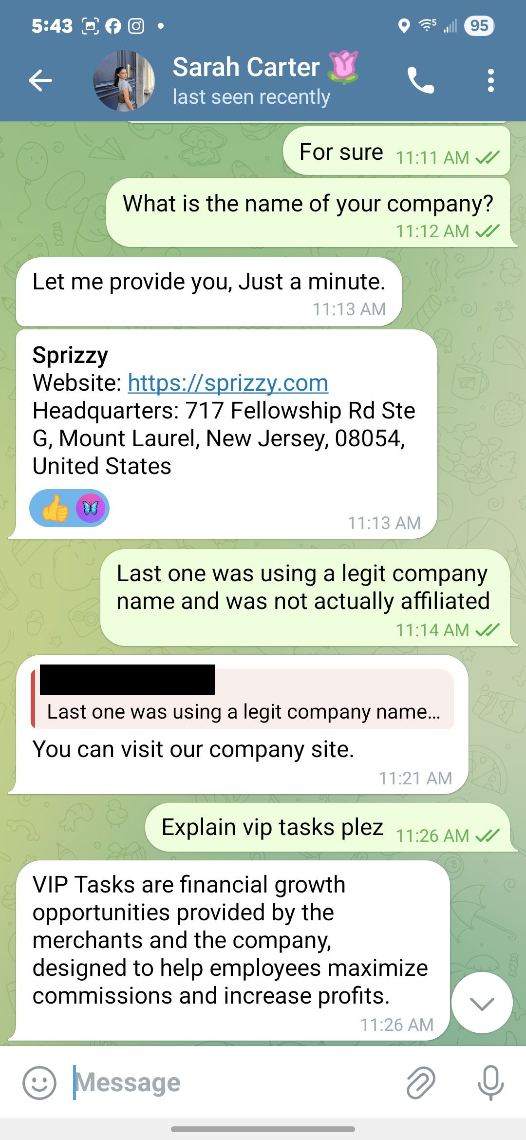 Scammer sharing real Sprizzy company details on Telegram to appear legitimate