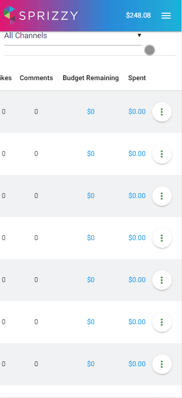 The Sprizzy campaigns table on a phone, scrolled sideways so the Likes, Comments, Budget Remaining and Spent columns show, with a three-dot menu button at the end of every campaign row